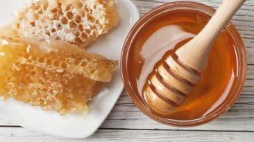 DESCUBRA A GELEIA REAL E OS SEUS BENEFÍCIOS PARA A SAÚDE