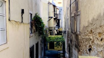 Príncipe Real Com Nova Associação Dinamizadora