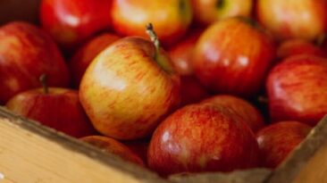CONHEÇA 10 VARIEDADES DE MAÇÃS E AS SUAS CARACTERÍSTICAS