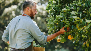 Crescer Juntos: Experiências Do Campo à Mesa – Revista Four Seasons