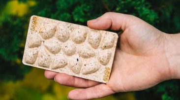 Vagens de sementes ecológicas feitas de resíduos de plantas e frutos do mar podem revolucionar as embalagens biológicas