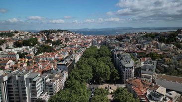 Art in Avenida expõe 11 artistas da Sociedade Nacional de Belas Artes na Avenida da Liberdade