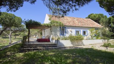 Christian Louboutin inaugura duas novas villas privadas em Melides