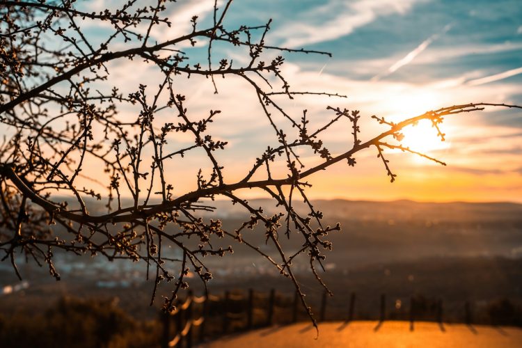 ALERtejo – Encontro Literário de Elvas