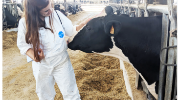 Grupo Montiqueijo, Lousa, Loures – VISIT LOURES.COM